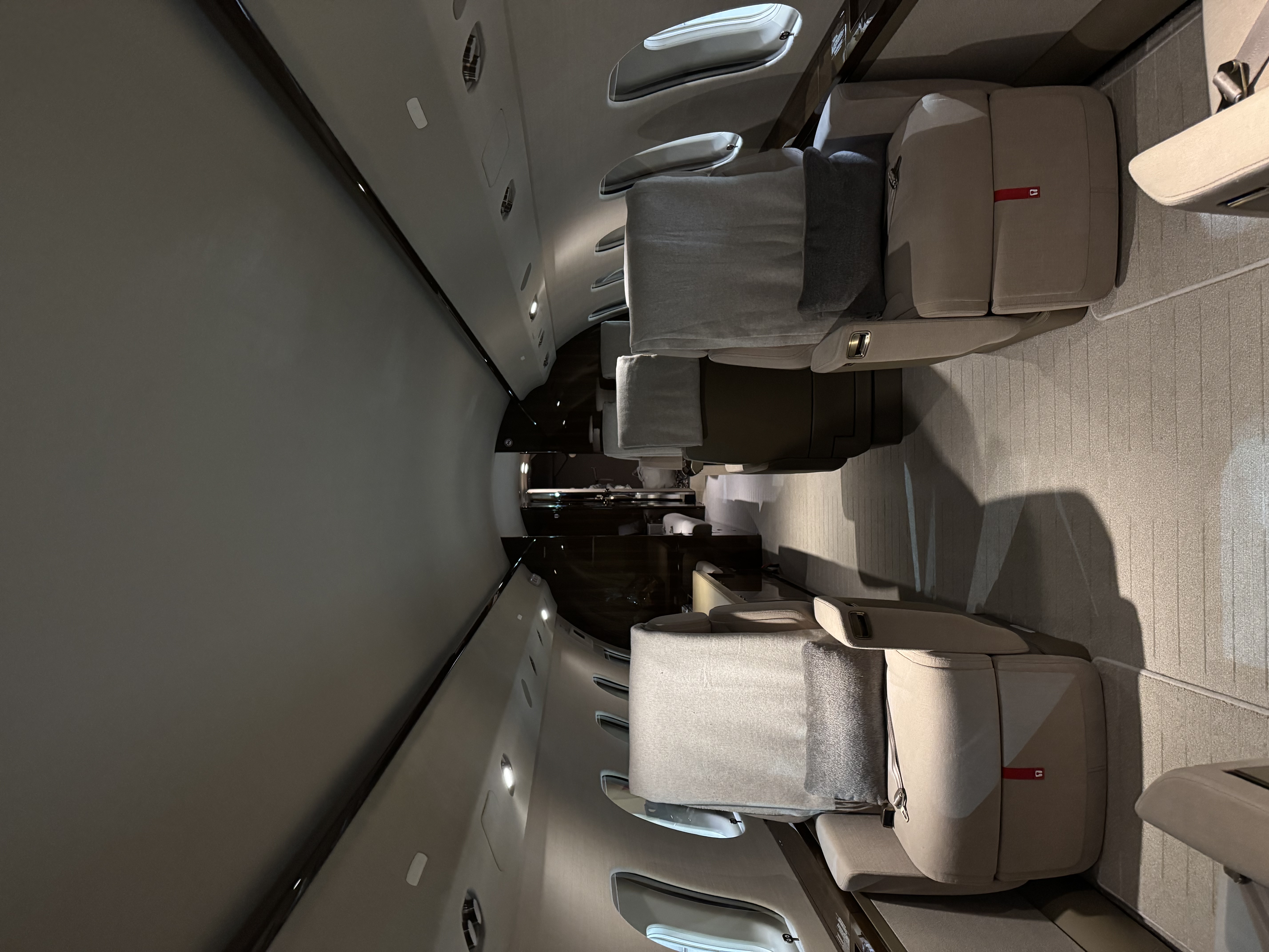 Aircraft Disinsection Bay Area — private jet cabin with club seating prepared for WHO-compliant insecticide treatment